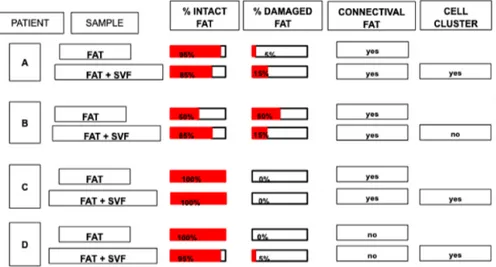 Figure 2. A summary of a histological analyses of randomized selection of FAT and FAT + SVF samples conventionally defined by the letter (A–D) (n = 4)