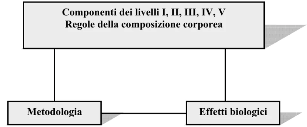 Figura 1.2.1 Le tre aree della ricerca sulla composizione corporea 