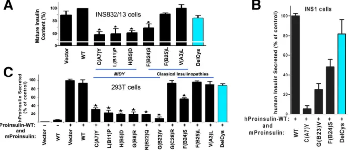 Figure 3. Effect of mutant proinsulins on insulin storage derived from co-expressed nonmutant proinsulin in pancreatic beta cells (and effect of mutant proinsulins on proinsulin export in 293T cells)