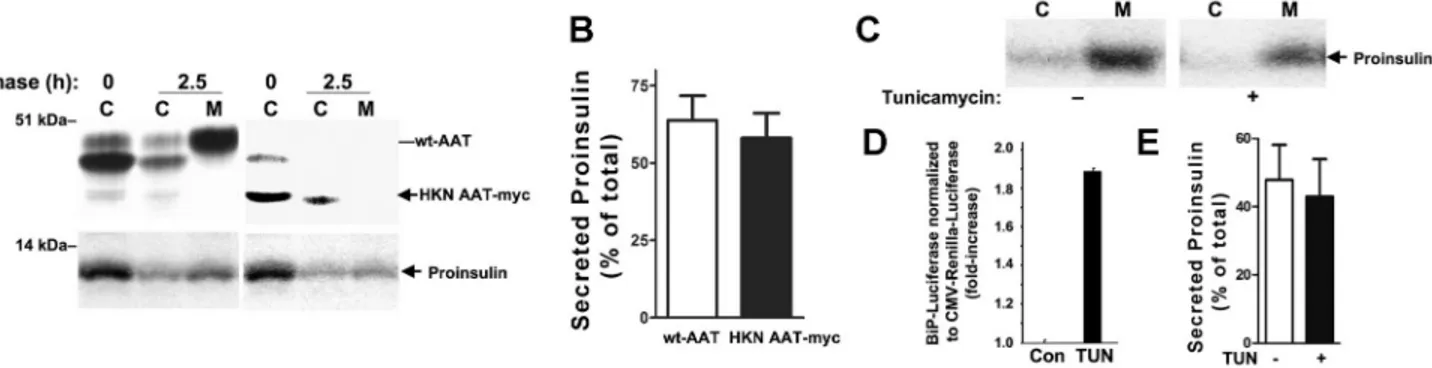 Figure 7. ER stress and ER stress reponse alone do not block wild-type proinsulin secretion