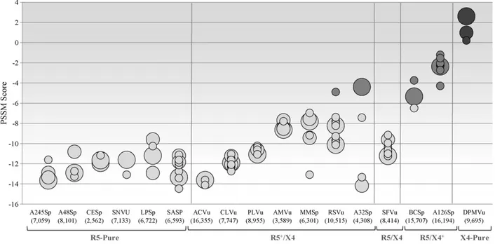 Fig. 2. Distribution of the PSSM scores within each dual-tropic HIV-1 primary isolates