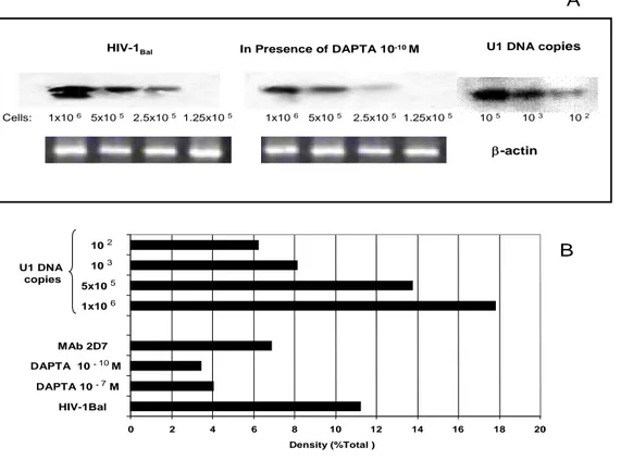 Figure 3: Reduction of HIV-1 DNA formation in M/M in presence of DAPTA. A, M/M were infected with HIV- HIV-1 BaL in presence or in absence of DAPTA at HIV-10 -7  M–10 -9  M doses and mAb 2D7 (3000 pg/ul)