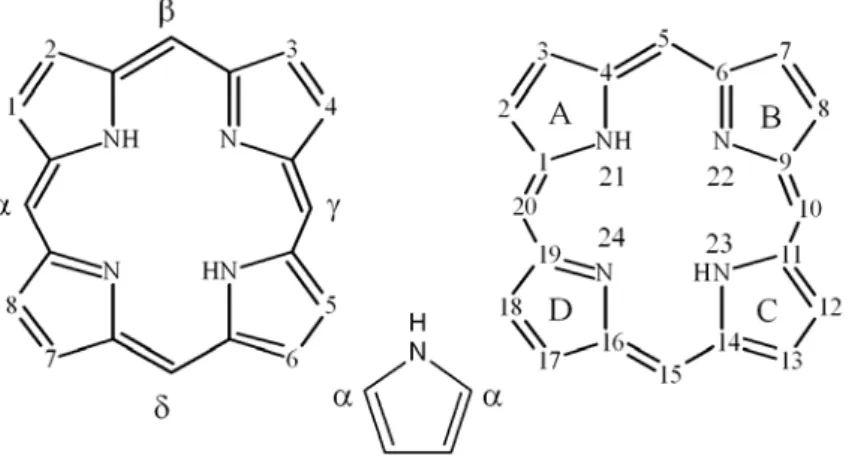 Fig. 1.15 – Structure and numeration of Porphyrin (IUPAC and Fischer).  
