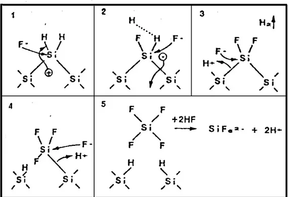 Fig. 1.5. Porous Si formation reaction scheme starting from a crystalline Si substrate in an HF ethanoic solution by  anodic dissolution reaction