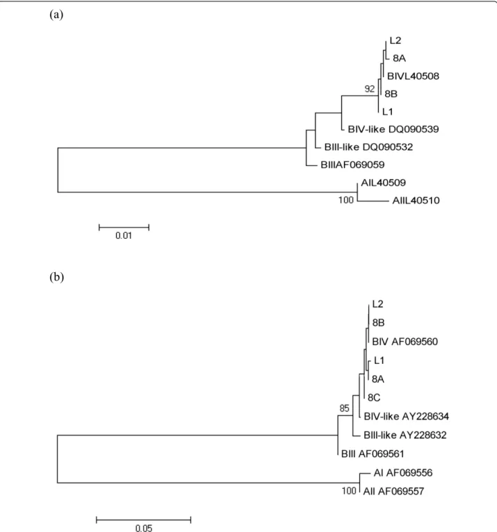 Figure 1 Phenetic relationships of G. duodenalis inferred by NJ analysis of the gdh (a) and tpi (b) loci