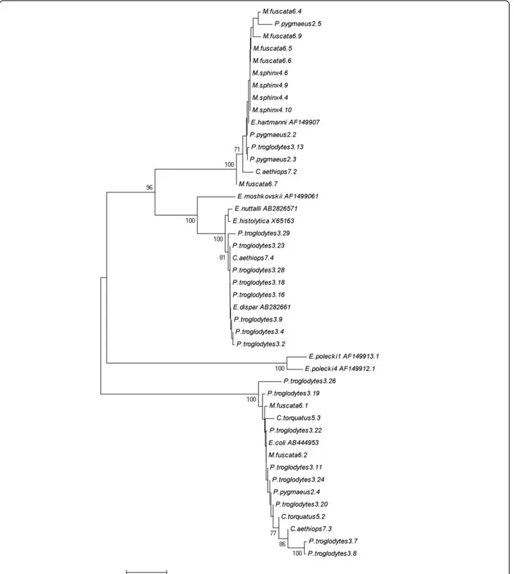 Figure 2 Phenetic relationships of Entamoeba spp. inferred by NJ analysis of the 18S rRNA genus