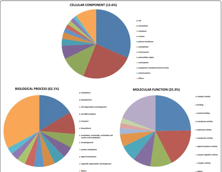 Figure 2 Functional annotation of European eel contigs associated to GO terms. GO classes were grouped into 112 GO-slim terms for biological process (BP), molecular function (MF) and cellular component (CC) ontologies.