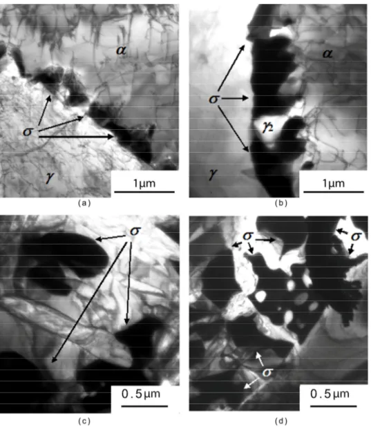 Figure 4. DSS 2205 steel heat treated (a) one hour and (b) 10 h at 750 ◦ C, and (c,d) 10 h at 850 ◦ C.