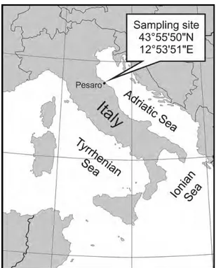 Fig. 1. Map of sampling site (Pesaro) of this study in the northwestern Adriatic Sea.