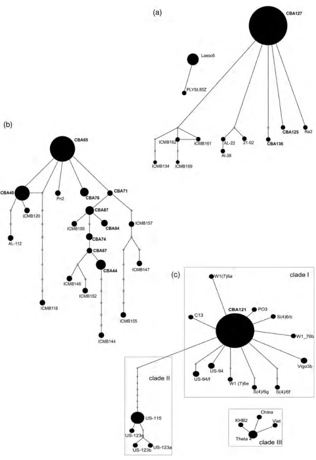 Fig. 3. Statistical parsimony network of haplotypes of Pseudo-nitzschia delicatissima (a), P