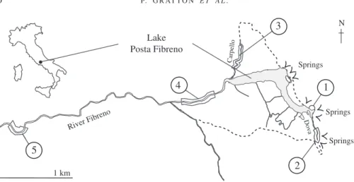 Fig. 2. Map of the Posta Fibreno basin showing the location of the five sites where Salmo spp
