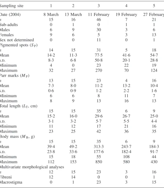 Table I. Samples and external morphology. Morphological traits have been measured on adult Salmo spp