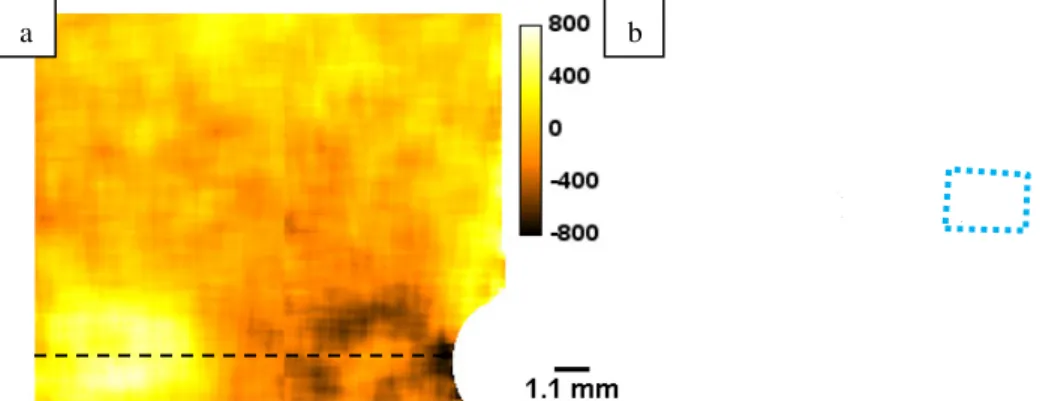 Figure 6: Out-of-plane strain in the cracked CT sample (a) measured by Bragg edge  transmission within the area shown by the dashed rectangle in (b), FEM of the whole sample 