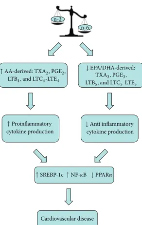 Figure 1: Effects of unbalanced n-6:n-3 dietary fatty acid intake on inflammatory state