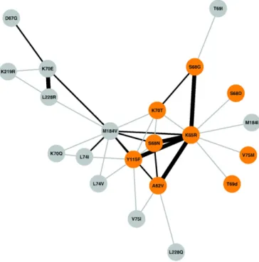 Fig. 3. Covariation patterns of nucleoside RT inhibitor (NRTI)-associated tenofovir disoproxil fumarate (TDF)-regimen associated mutations (TRAMs) in a network created from the adjacency matrix of phi correlation coefﬁcients for each pair of NRTI TRAMs.