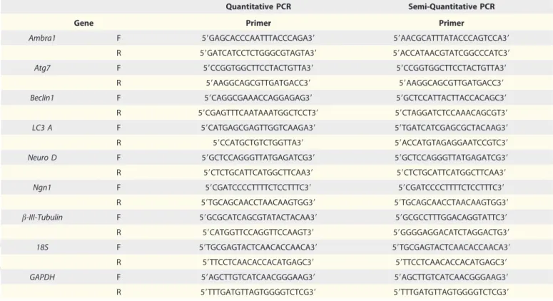 Table 1. Sequence of the primers used in quantitative and semi-quantitative RT-PCR
