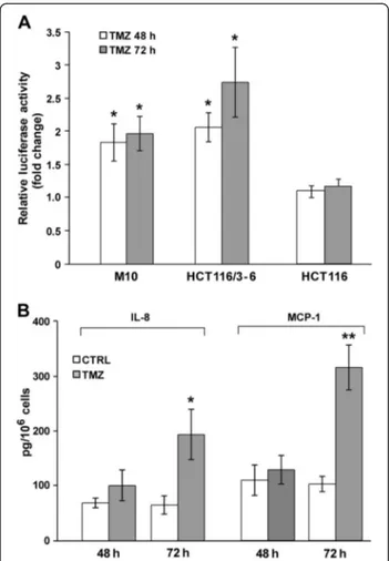 Figure 1 TMZ increases NF- κB transcriptional activity in MMR- MMR-proficient but not in MMR-deficient cells