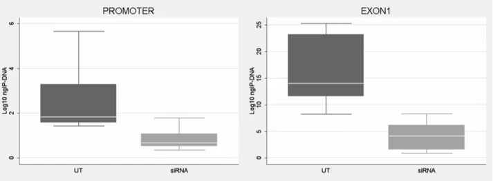 Table 1. ChIP results after CTCF knock-down without FMR1 transcript reduction. WT UFM UT siRNA UT siRNA Promoter CTCF 0.8160.6* 0.860.51* 0.2260.06* 0.2660.02* H3-K4 methylation 1.8260.69* 1.6260.72* 1.3660.13* 1.1360.1* H3-K9 methylation 1.2760.09* 1.9360