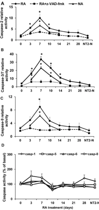 Figure 1. Caspase-2, -3 and -9 are selectively activated during RA-induced NT2 cell neuronal differentiation