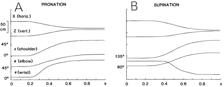 Figure  2.  Representative  examples  of  reaching  movements  involving  wrist  pronation  (A  )  and  supination  (B)