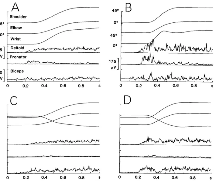 Figure  8.  EMG  activities  in  another  subject.  These  averages  are  of  the  fastest  movements  produced  by  this  subject