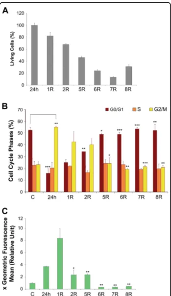 Fig. 2 Effect of 400 μM H 2 O 2 treatment on A6 cells during recovery time. a Histograms of cell viability assayed by trypan blue exclusion assays: treated cells '24 h' with 400 μM H 2 O 2 and after 1, 2, 5, 6, 7 and 8 days of recovery (R) calculated respe