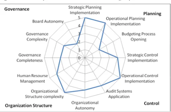 Figure 3: Autonomy and Coherence in the Revenue Agency Case 