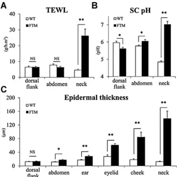 Fig. 1. Physiological and histological ﬁndings. Transepidermal water loss (TEWL, A), stratum corneum (SC) pH (B), and epidermal thickness (C) were compared at each site between old C57BL/6 (WT) and ﬂaky tail mice (FTM) (40- to 90-week-old), as described in