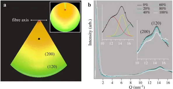 Figure  4:  (a)  Masked  scattering  data,  indicating  the  integrated  region  used  to  obtain SAXS/WAXS profiles