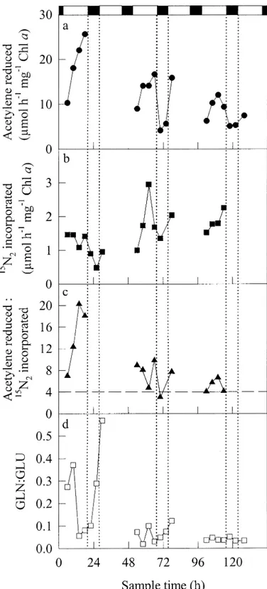 Fig. 3. Relationship between acetylene reduction and assimilation of 15 N 2 in cyanobacteria sampled from a bloom in the Baltic Sea between 6 and 11 July 1998 (days 1–5)