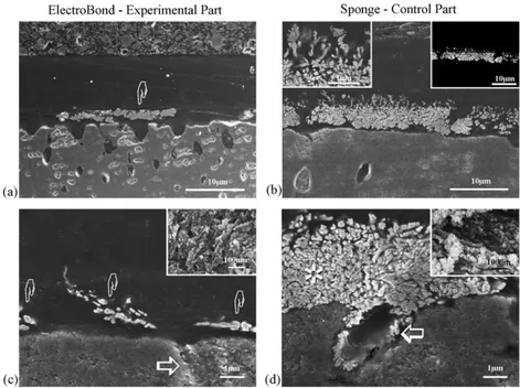 Fig. 3 – FE-SEM micrographs obtained from epoxy-embedded specimens that were sectioned with a diamond blade