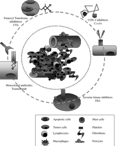 Figure 1. Principal targeting approaches in BC treatment.