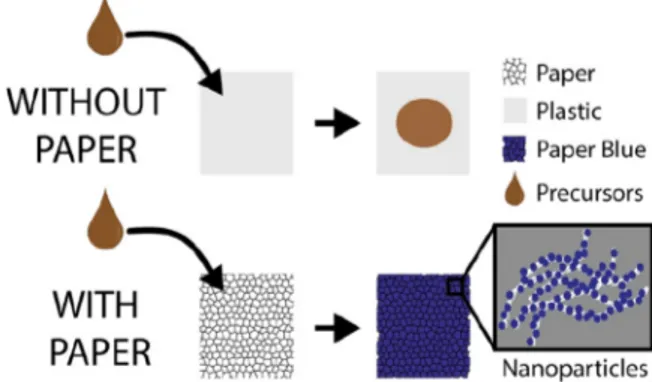 Fig. 1. Role of paper as reactor for Nanoparticles synthesis. The di ﬀerence between plastic-based and paper-based substrates towards Prussian Blue Nanoparticles synthesis is represented