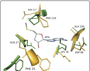 Figure 4 PDBinder performance on the apo form of rRNA methyltransferase (KsgA). The binding site of the 16S rRNA methyltransferase (KsgA) from Thermus thermophilus in complex with 5 ’-methylthioadenosine (MTA)