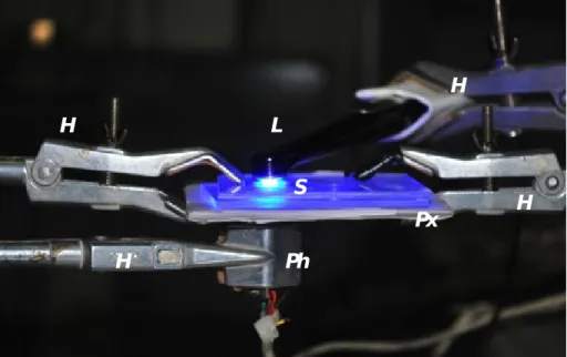 Fig. 2 - Photo of the tests: L, lamp; Ph, photodiode; S, sample, Px, plexiglass slabs; H, holders