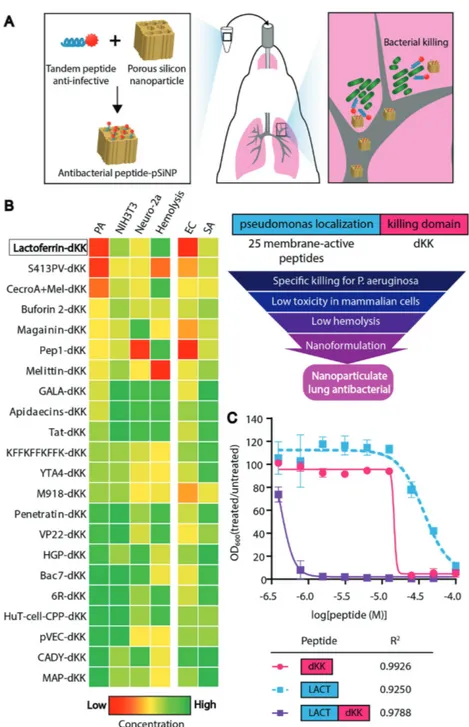 Figure 1.  Selection of a pseudomonas-specific anti-infective tandem peptide. A) The overall  approach was to design materials composed of an anti-infective peptide cargo loaded in  biode-gradable porous silicon nanoparticles for delivery to lung infection