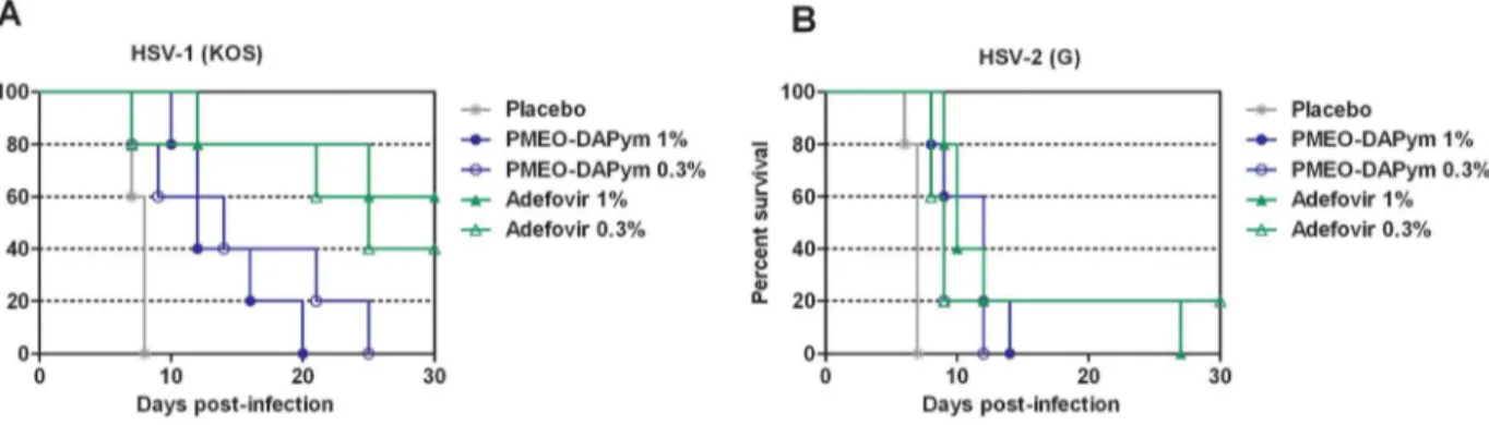 Figure 8. Effects of adefovir and PMEO-DAPym on mortality in mice inoculated with HSV-1 or HSV-2