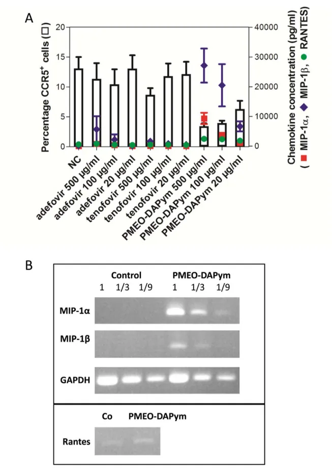 Figure 9. Expression of CC-chemokines, CCR5 and chemokine mRNA expression in PBMC cultures after drug treatment