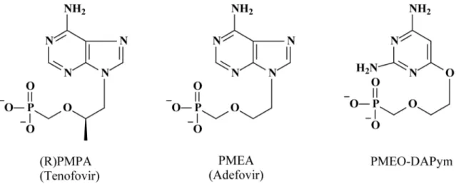 Figure 1. Structural formulae of the acyclic nucleoside phosphonates. Adefovir and tenofovir are purine (adenine) analogues