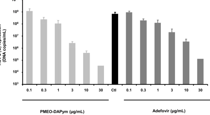 Figure 6. Suppression of HSV-2 in human cervico-vaginal tissues by adefovir and PMEO-DAPym