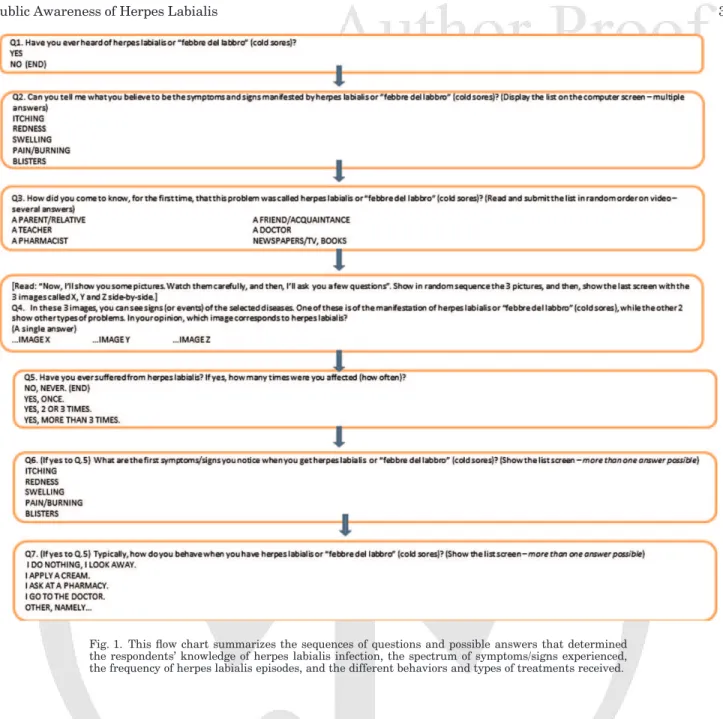 Fig. 1. This flow chart summarizes the sequences of questions and possible answers that determined the respondents’ knowledge of herpes labialis infection, the spectrum of symptoms/signs experienced, the frequency of herpes labialis episodes, and the diffe