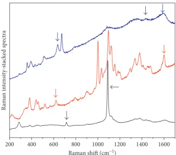 Figure 1: Raman spectra (excitation line λ  785 nm) of papers, showing three possible degradations occurring in the cellulose chain.