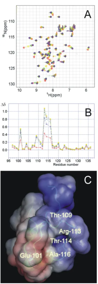 FIGURE 4. Identification and localization of the sites of H-NSctd active in target DNA recognition
