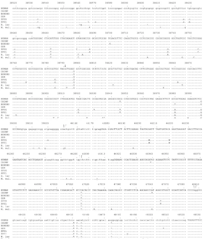 Fig. A1. Alignment of sequences obtained in the present paper (see Materials and Methods) to human AL031230