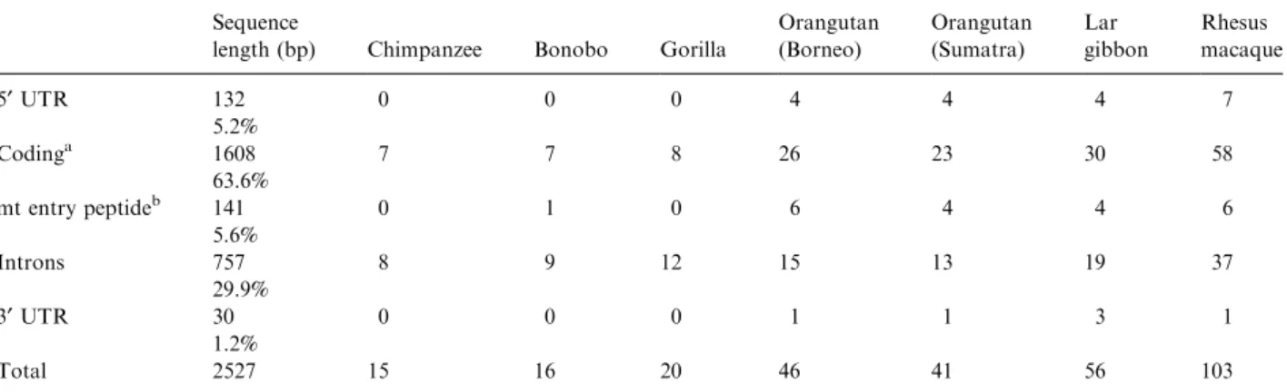 Table 1. DNA substitutions in functional regions of SSADH DNA sequence in primate species compared with human reference sequence AL031230