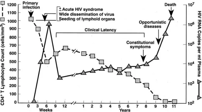 Figure 1.4.  Schematic representation of the course of HIV infection 