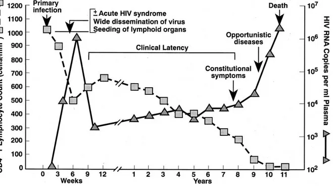 Figure 1.4.  Schematic representation of the course of HIV infection 