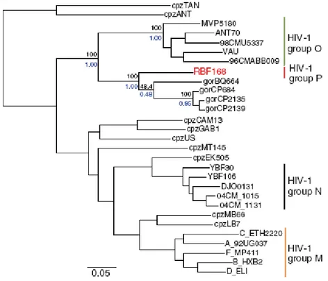 Figure 1.5. Phylogenetic relationship of primate lentiviruses.  Phylogenetic tree derived from the  alignment of pol gene sequences of HIV-1 and SIV strain (SIV cpz  and SIV gor ).Reproduced from Plantier et  al., 2009
