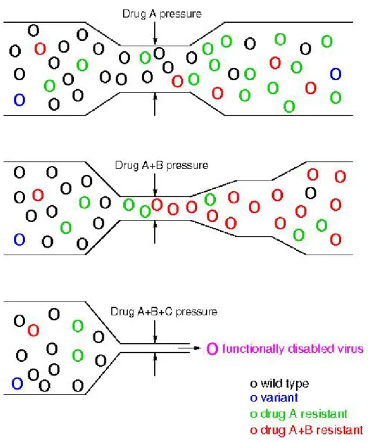 Figure 1.8. Schematic representation of selection of resistant virus under drug pressure 