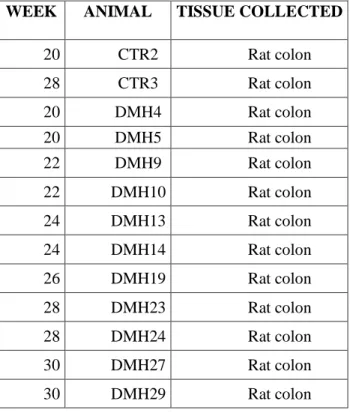Table 1. Sample of first carcinogenesis experiment. 